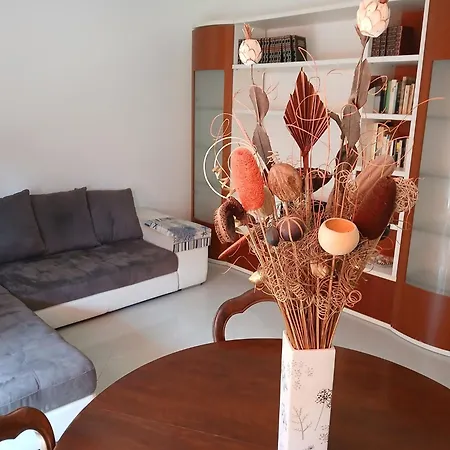 La Casa Del Borea בית נופש *